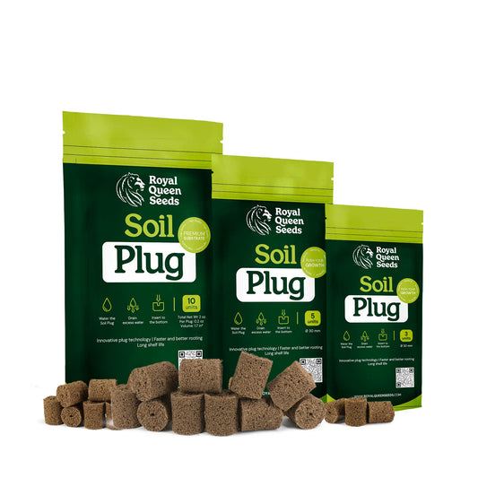 Soil Plugs For Germination