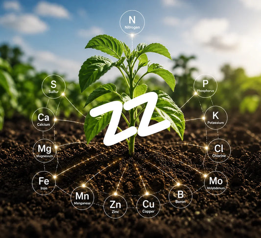 Plant Nutrients: The Indoor Grower's Complete Feeding Guide