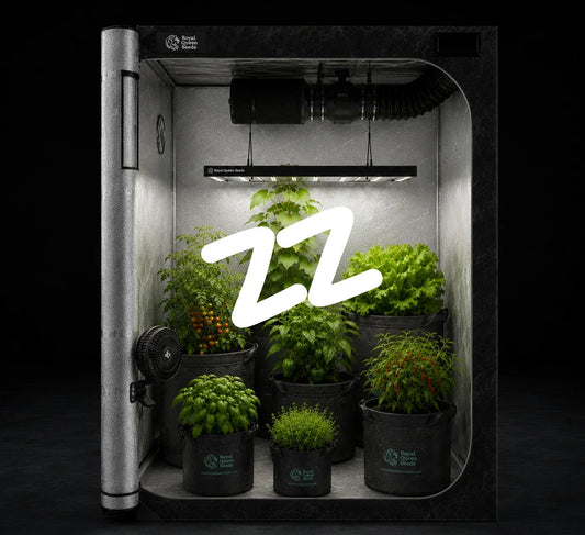 What Size Grow Bag Do You Need? A Sizing Guide by Crop