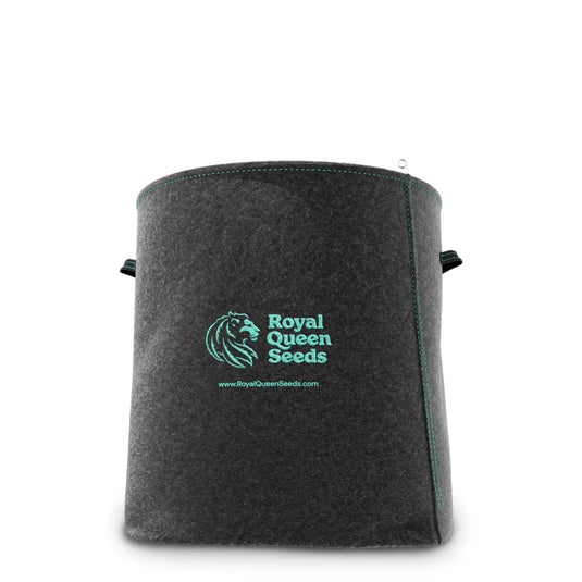 Fabric Pot Royal Queen Seeds-6