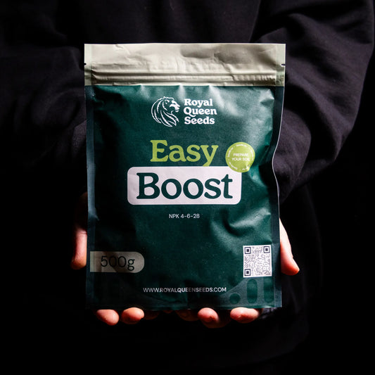 Easy Boost Organic Nutrition