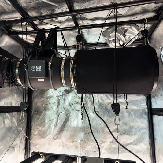 RQS Carbon Filter 15cm