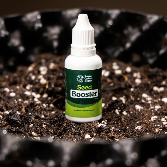Seed Booster