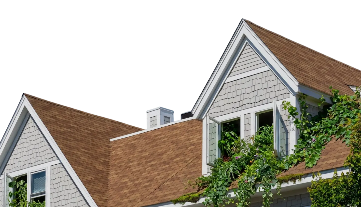 A house flourishing with plants